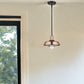 Shiny Copper Shallow Plate Adjustable Pendant Light