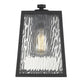 Hirche 1-Light Matte Black Wall Light