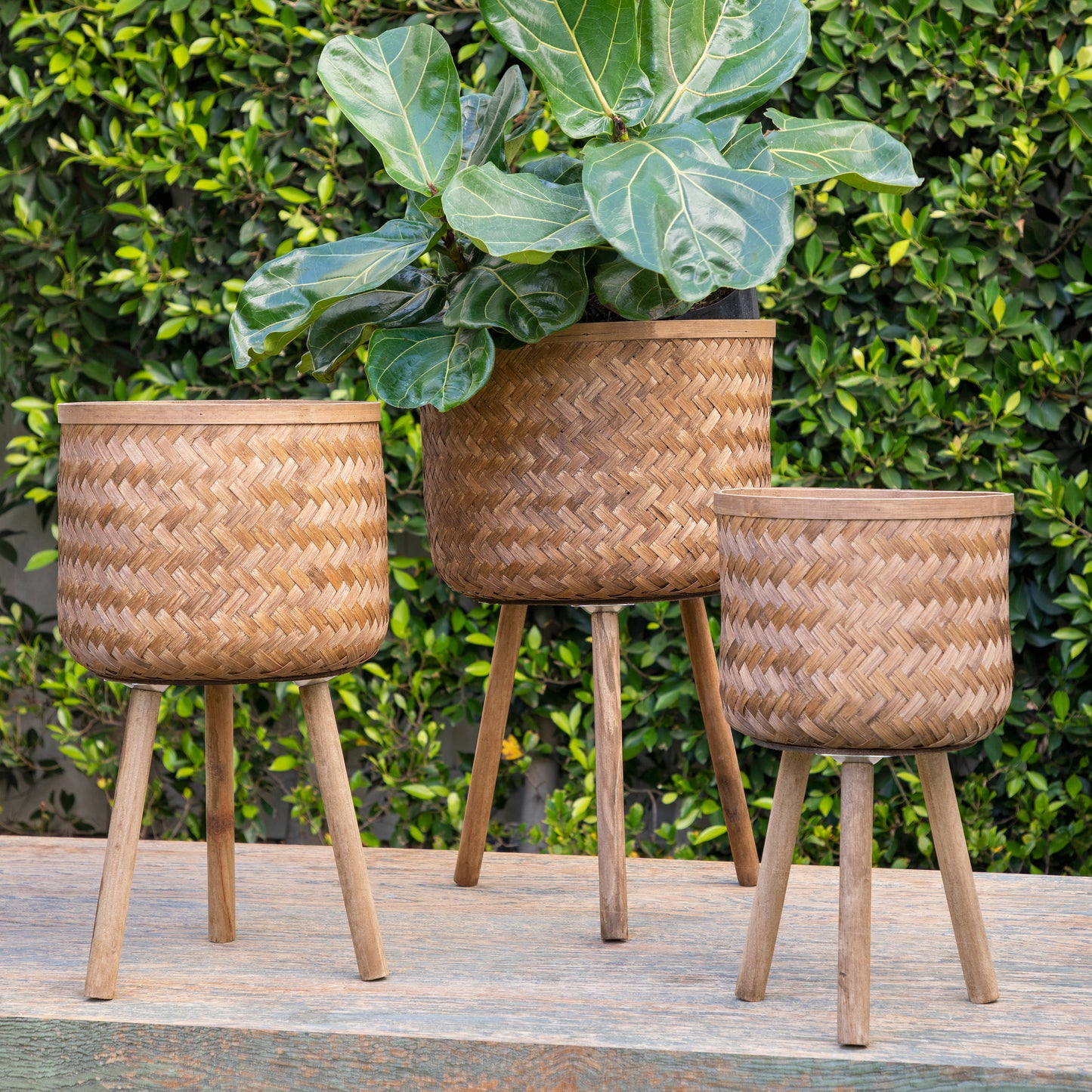 BAMBOO PLANTERS, BROWN