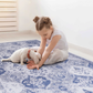 2x3 Machine Washable Low-Pile Area Rug