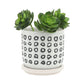 AZTEC PLANTER W/ SAUCER, BLACK